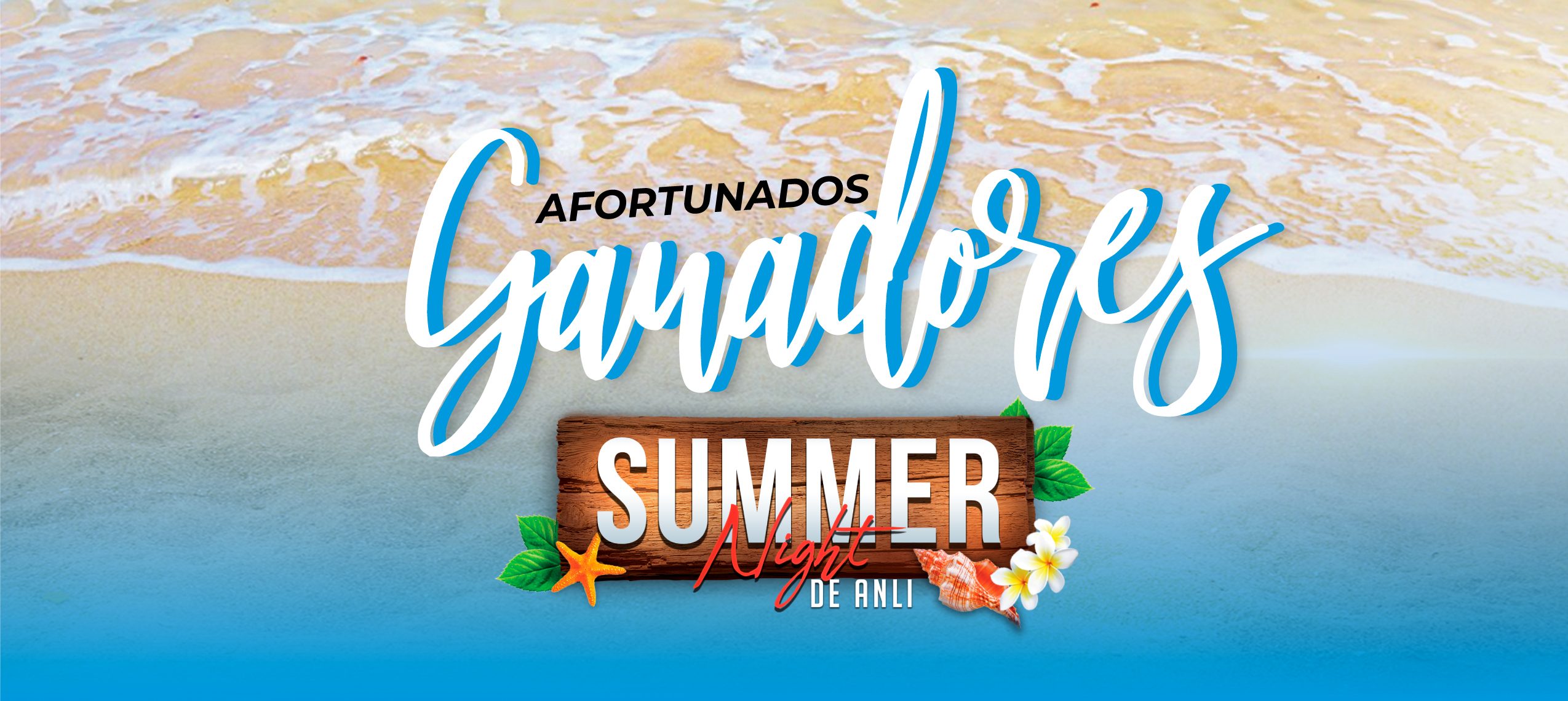 summer-nigh-ganadores-web